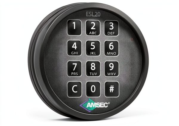 AMSEC Electromagnetic Lock Commercial Security Keypad Access-0